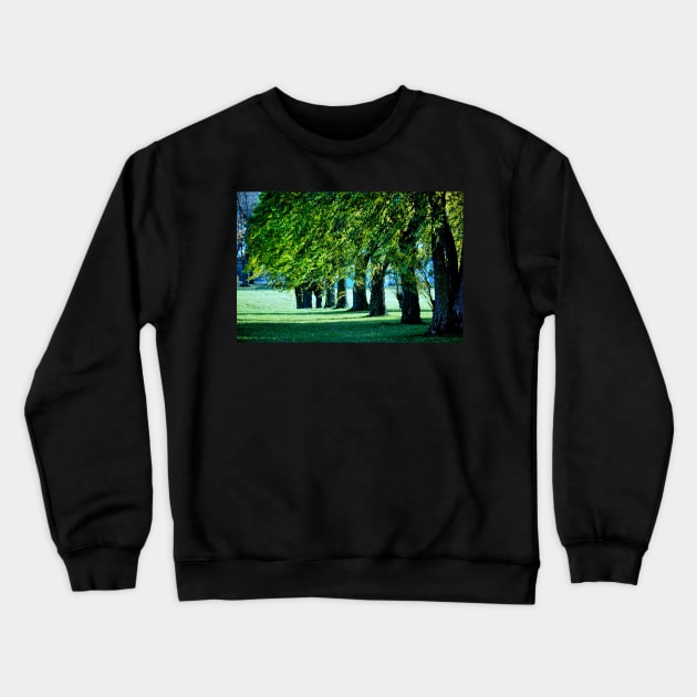 Sunlit Treeline Crewneck Sweatshirt by LaurieMinor